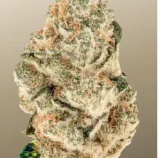 GORILLA MELON ™
